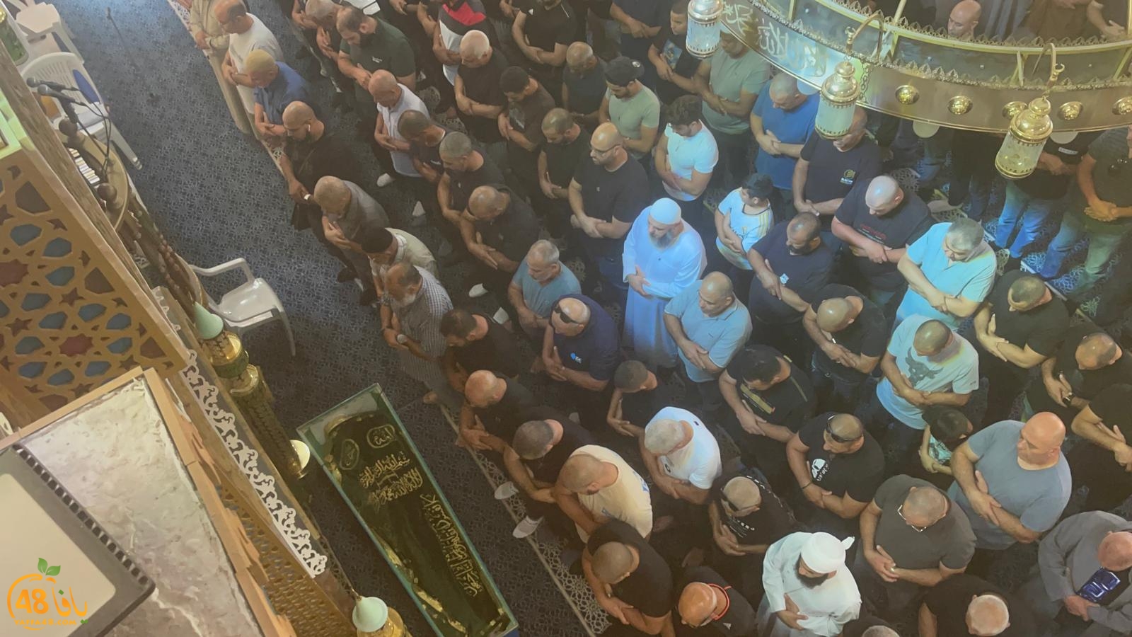 WhatsApp Image 2023-10-12 at 12.00.15 PM.jpeg